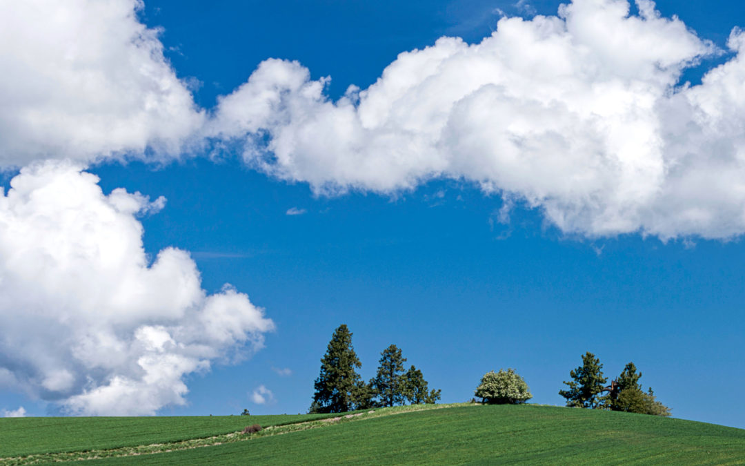 Pioneer Title Co. Expands Further to Latah County